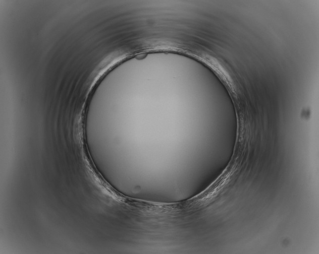 X0000097900806200803281338