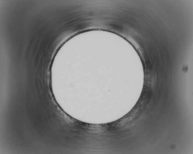 X0000097900807200803281338