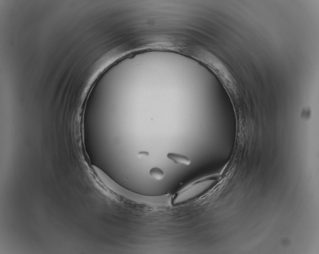 X0000097900808200803281338