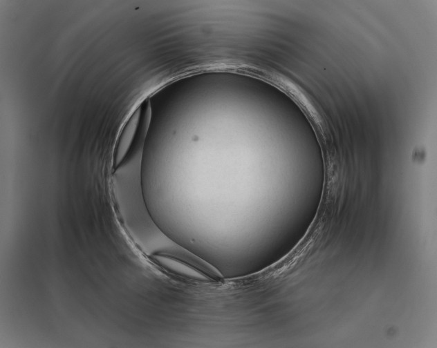 X0000097900810200803281338