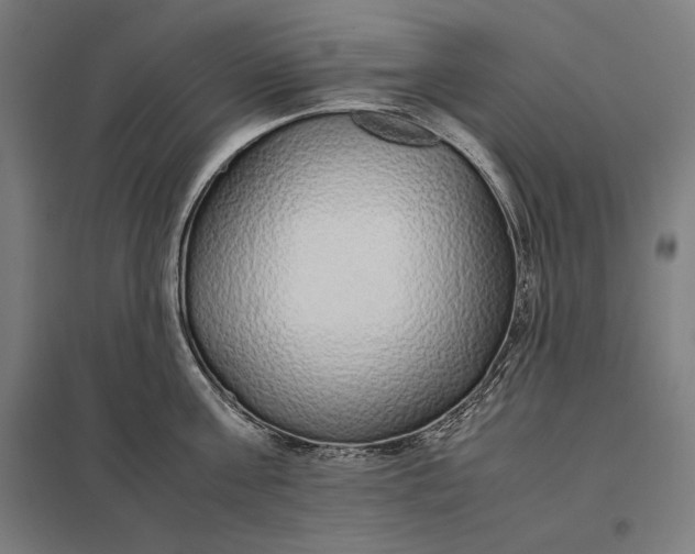 X0000097900811200803281338