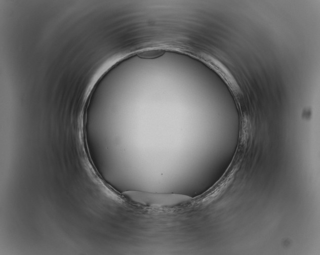 X0000097900812200803281338