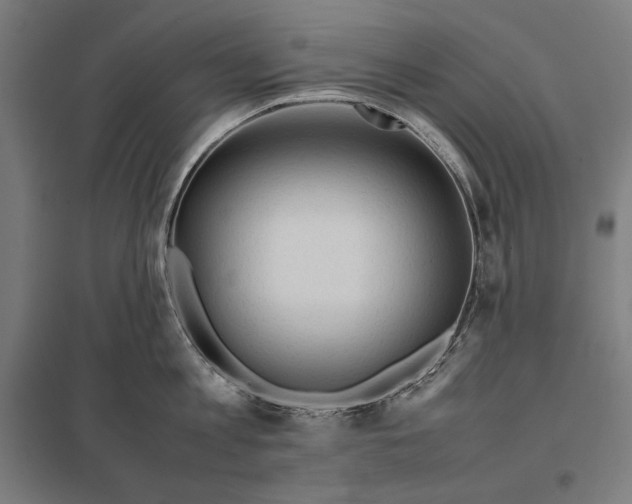 X0000097900813200803281338