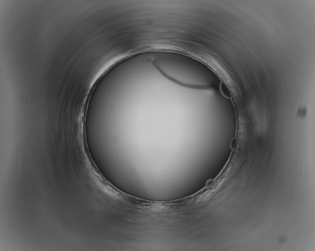 X0000097900814200803281338