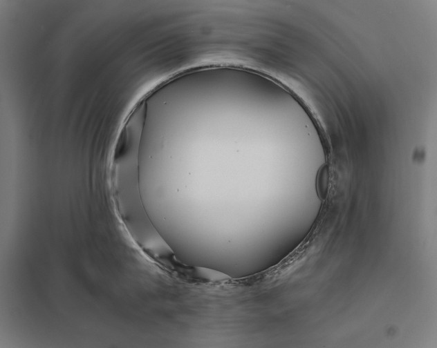 X0000097900815200803281338