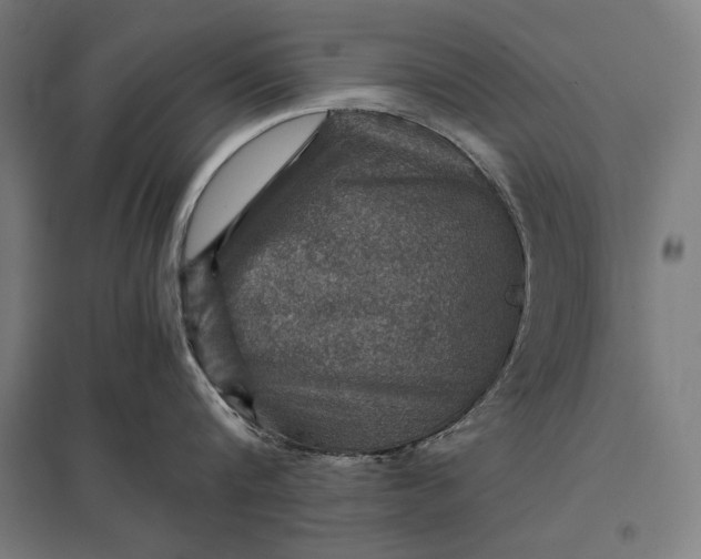 X0000097900816200803281338