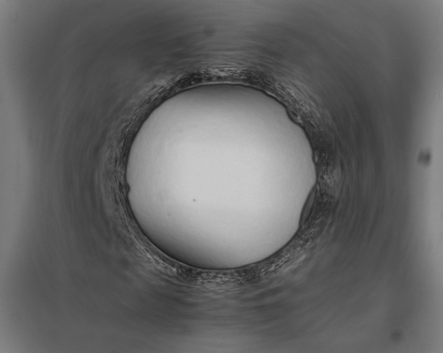 X0000097900817200803281337