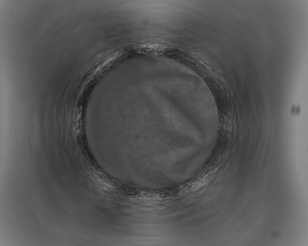 X0000097900818200803281337