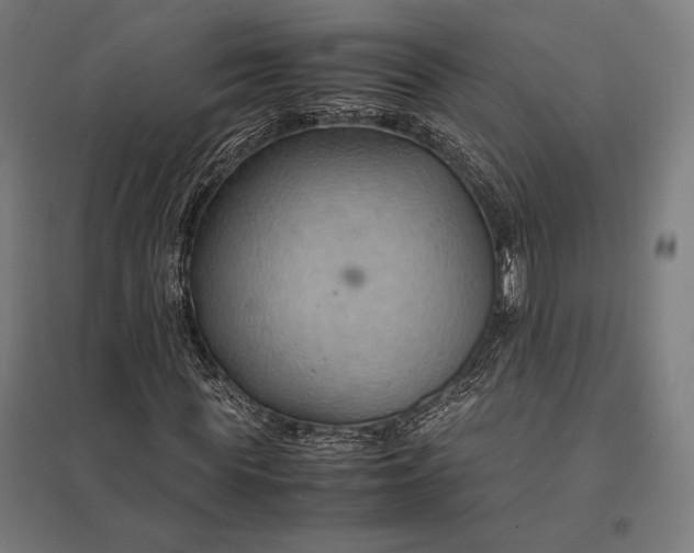 X0000097900819200803281337