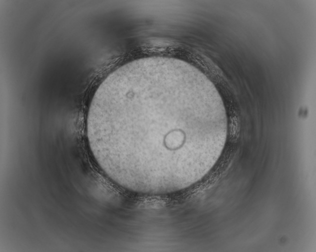 X0000097900820200803281337