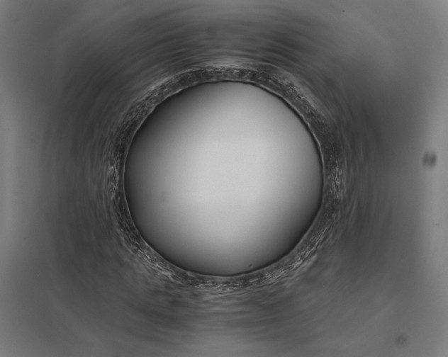 X0000097900821200803281337