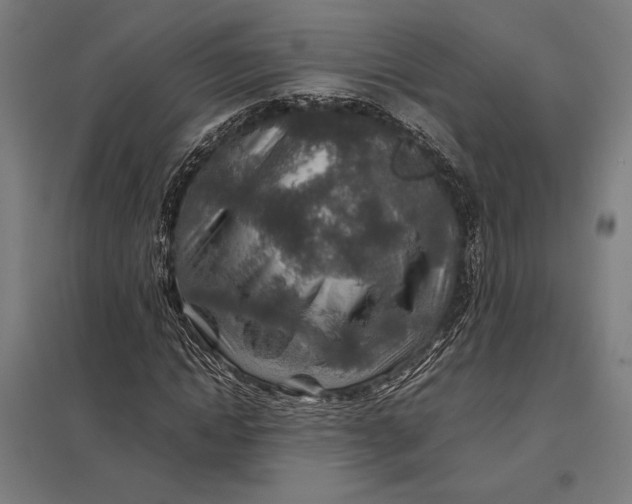 X0000097900822200803281337