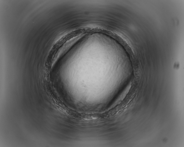 X0000097900823200803281337