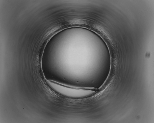 X0000097900825200803281337