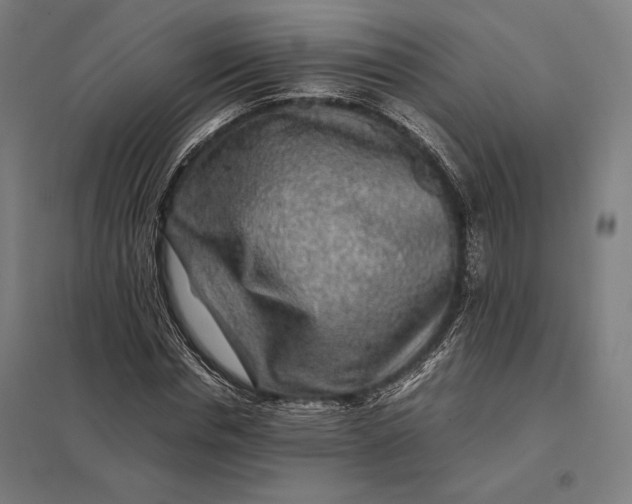 X0000097900826200803281337