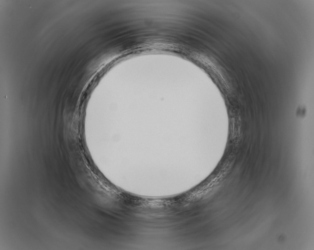 X0000097900828200803281337