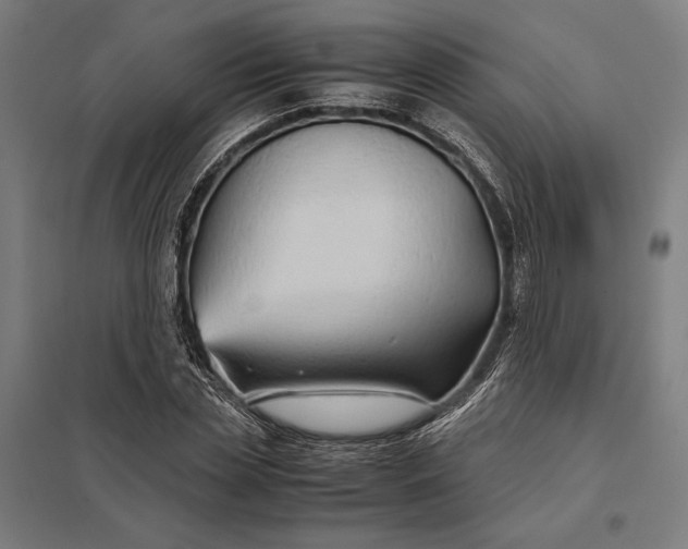 X0000097900829200803281337