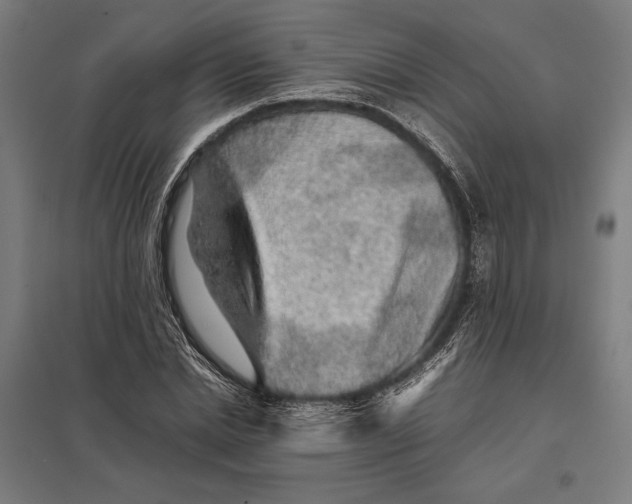 X0000097900830200803281337