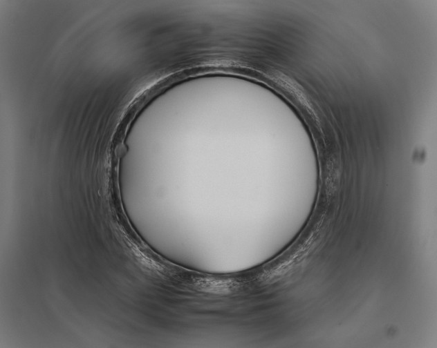 X0000097900831200803281337