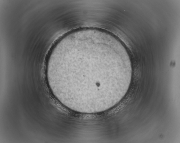 X0000097900832200803281337