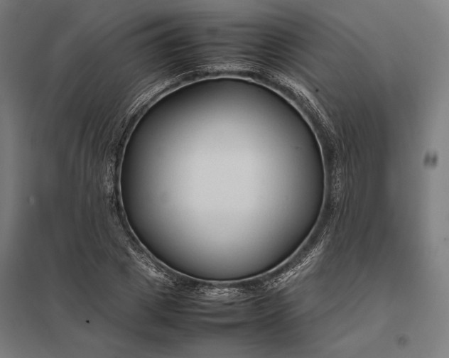 X0000097900833200803281337