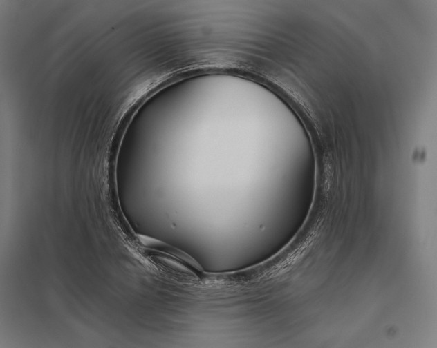 X0000097900834200803281337