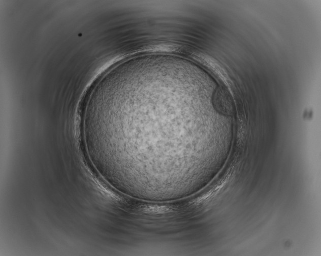 X0000097900835200803281337