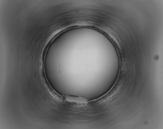 X0000097900837200803281337