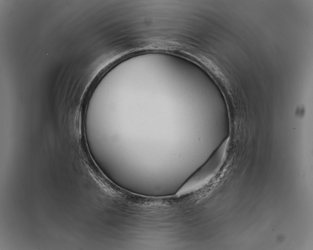 X0000097900838200803281337