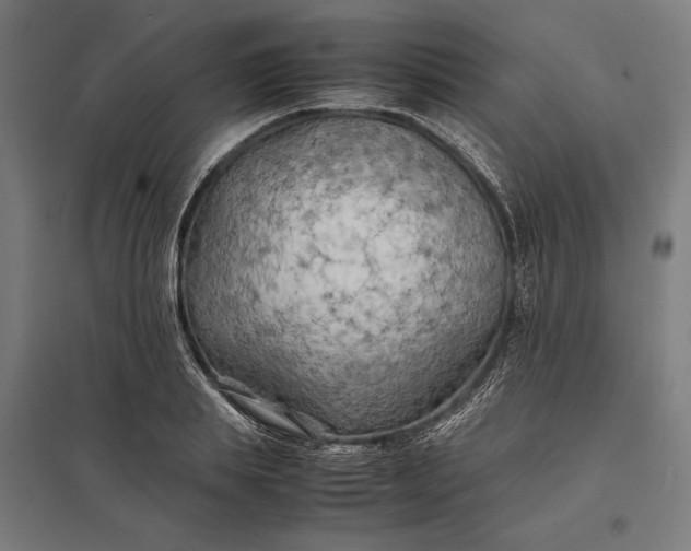 X0000097900839200803281337