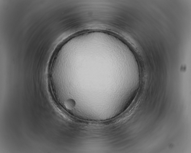 X0000097900840200803281337