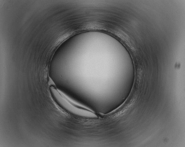 X0000097900841200803281337