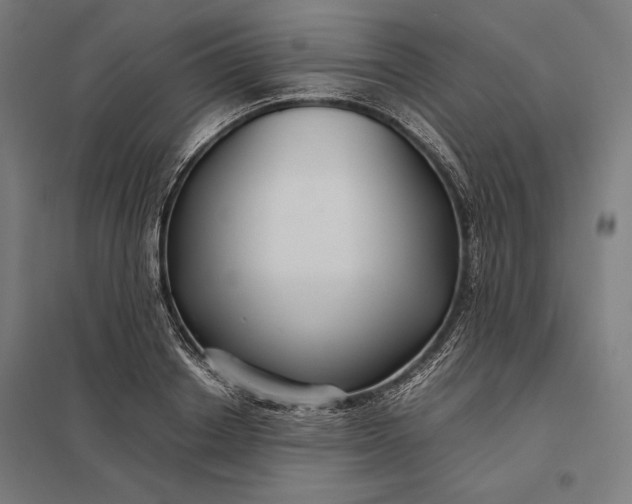 X0000097900842200803281337