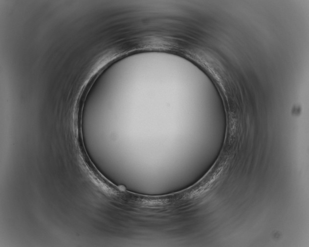 X0000097900843200803281337