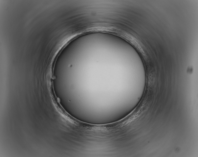 X0000097900844200803281337