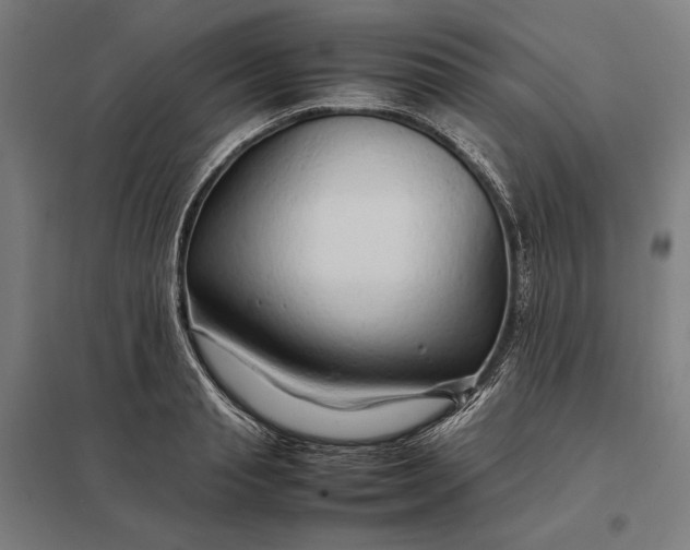 X0000097900845200803281337