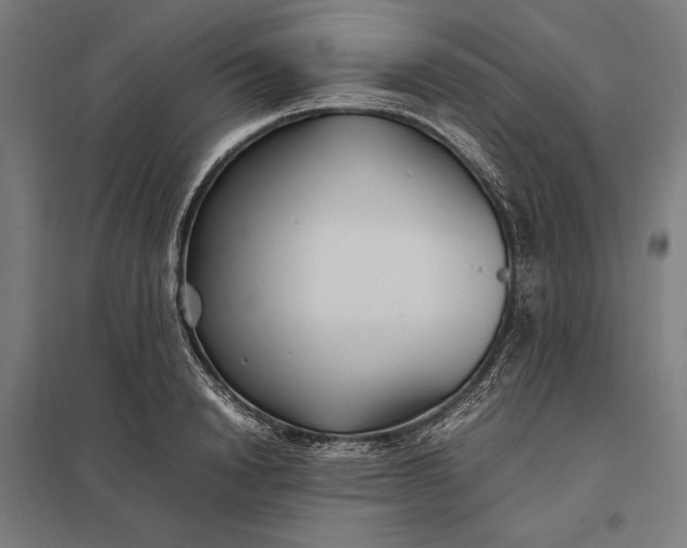 X0000097900846200803281337