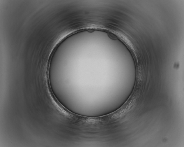 X0000097900847200803281337