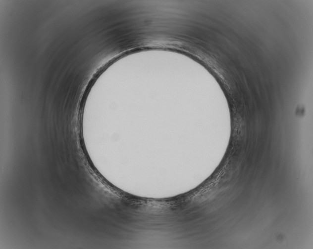 X0000097900848200803281337