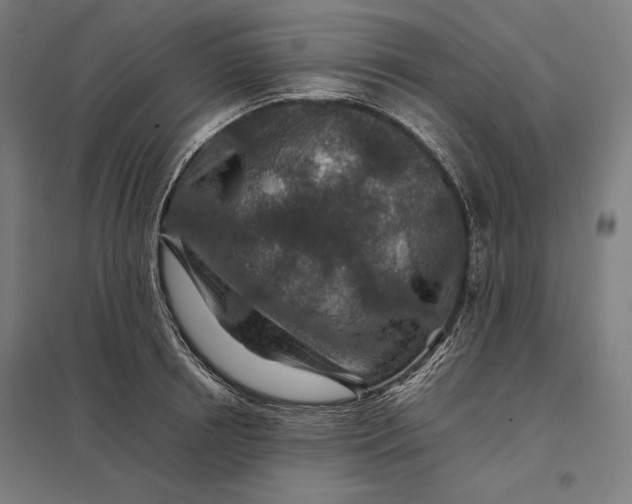 X0000097900850200803281337