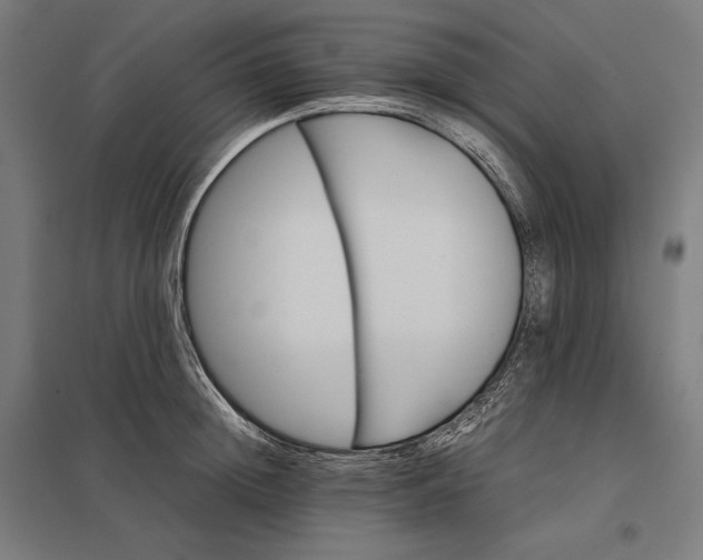 X0000097900852200803281338