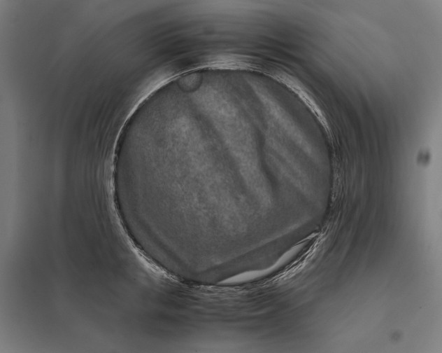 X0000097900853200803281338