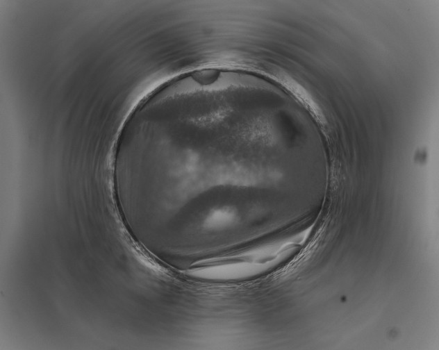 X0000097900854200803281338