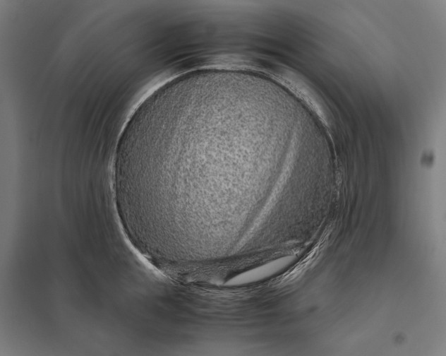 X0000097900855200803281338