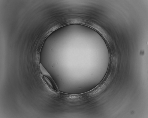 X0000097900857200803281338