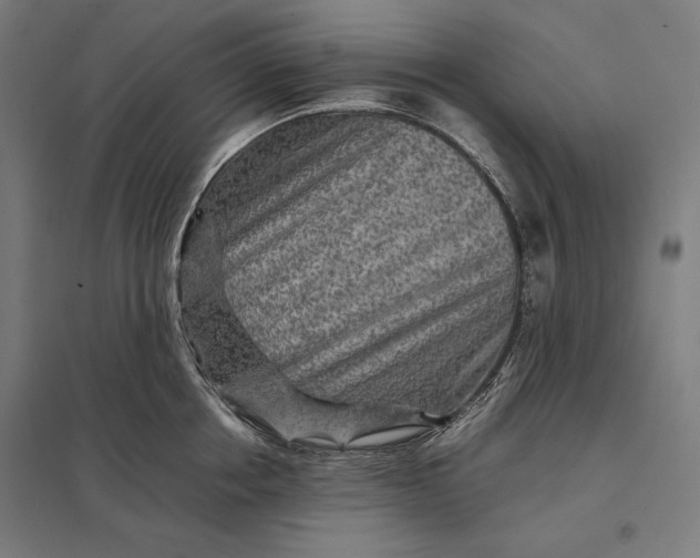 X0000097900858200803281338