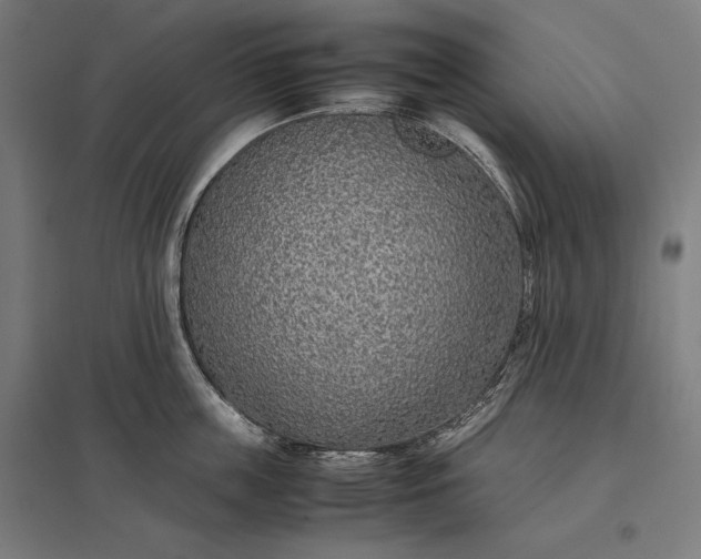 X0000097900859200803281338