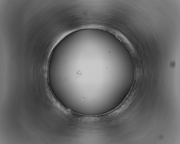 X0000097900860200803281338