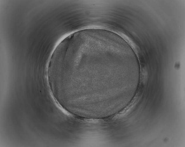 X0000097900862200803281338