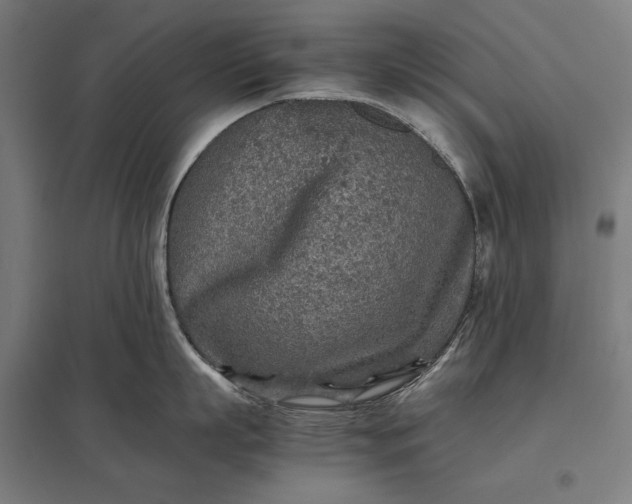 X0000097900863200803281338